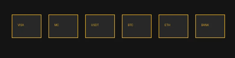 金沙娱乐支持的支付方式